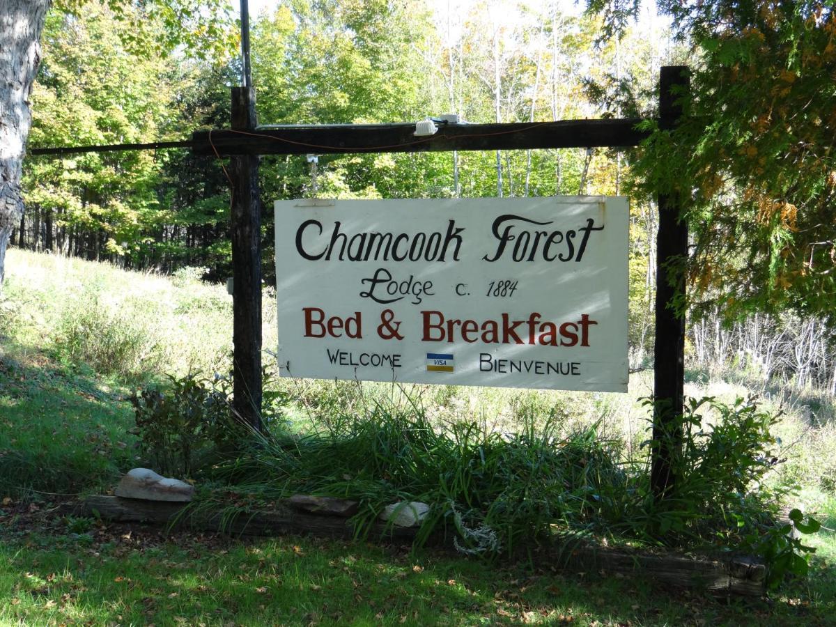 Chamcook Forest Lodge Bed & Breakfast St. Andrews By The Sea Εξωτερικό φωτογραφία