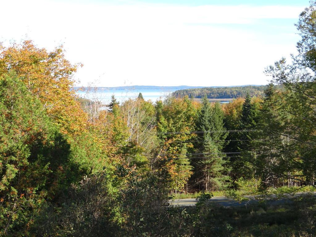 Chamcook Forest Lodge Bed & Breakfast St. Andrews By The Sea Εξωτερικό φωτογραφία